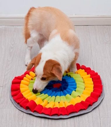 snuffle-mat-for-dogs-costa-rica
