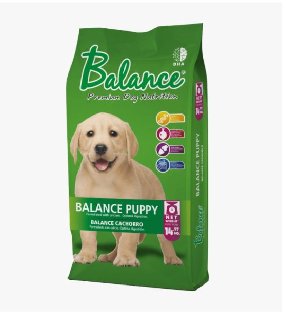 balance-puppy-costa-rica