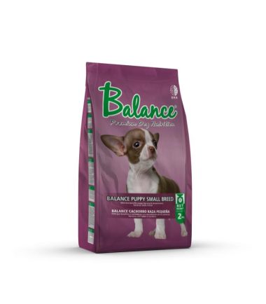 balance-puppy-toy-breed-costa-rica