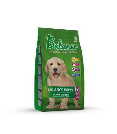 balance-puppy-medium-breed-costa-rica