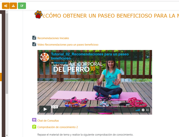 Curso ¿Cómo brindar un paseo beneficioso a las mascotas?