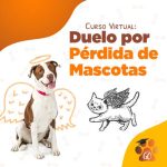Curso-Duelo-Por-Pérdida-de-la-Mascota-costa-rica