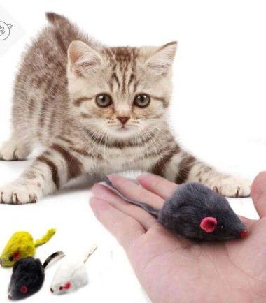 Ratón con cuerda para gato