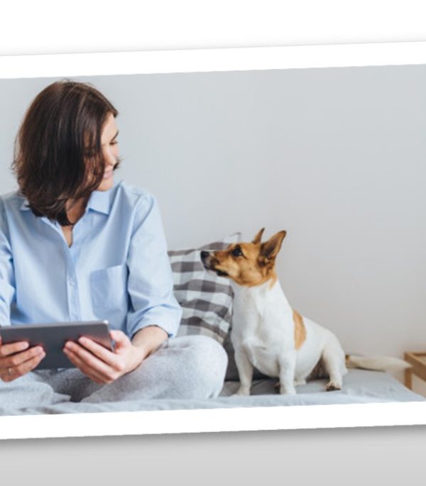 Curso ¿Cómo brindar un paseo beneficioso a las mascotas?