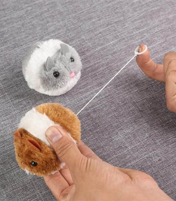 Ratón de Cuerda