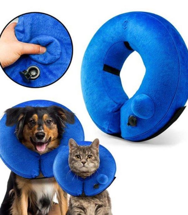 collar-inflable-mascota-costa-rica