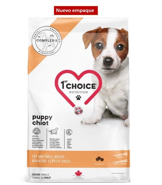1st-choice-puppy-toy-&-breeds-costa-rica