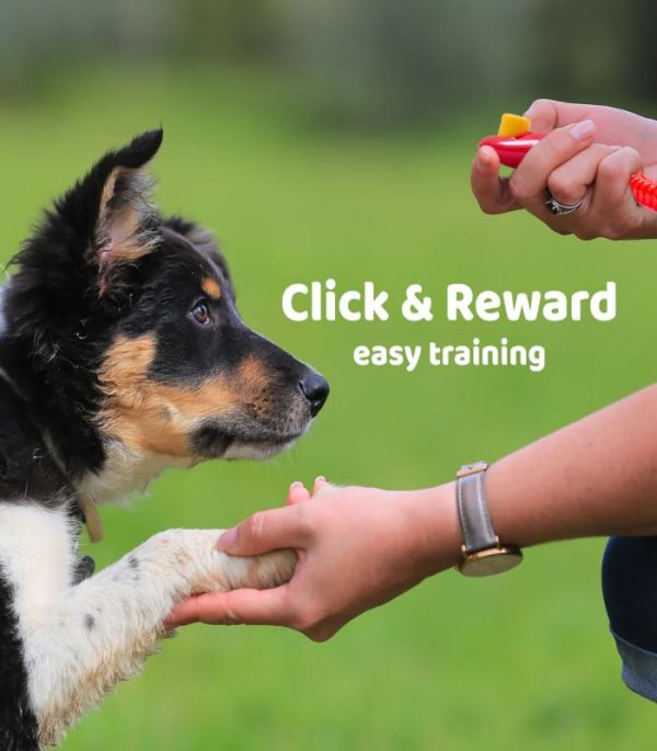 clicker-adiestramiento-perro-costa-rica