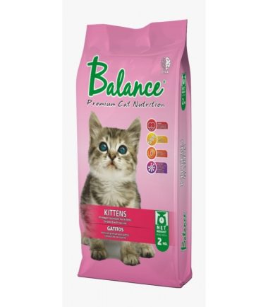 Balance-kittens-costa-rica
