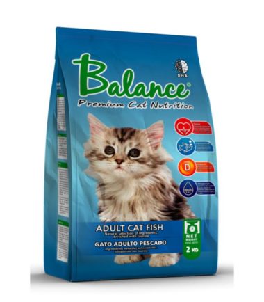 Balance-Cat-fish-costa-rica