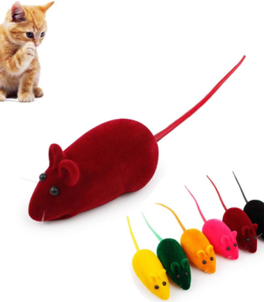 mouse-cat-toy-costa-rica