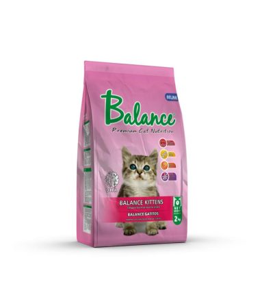 balance-kittens-costa-rica