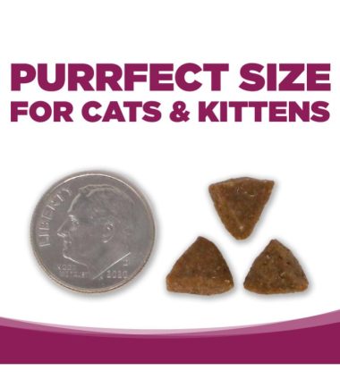 nutrisource-cat-kitten-costa-rica