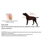 size-arnes-dog-cat-costa-rica
