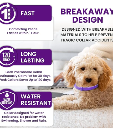 callming-collar-for-dogs-costa-rica