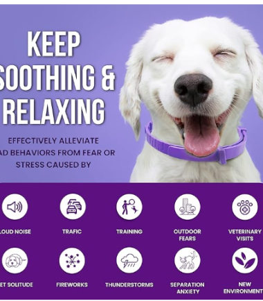callming-collar-for-dogs-costa-rica