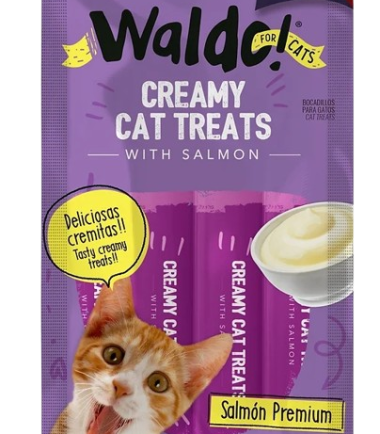 Waldo-creamy-salmon-cat-costa-rica