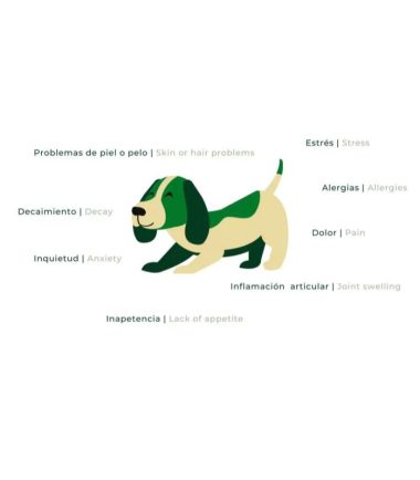 aceite-cbd-para-mascotas-costa-rica