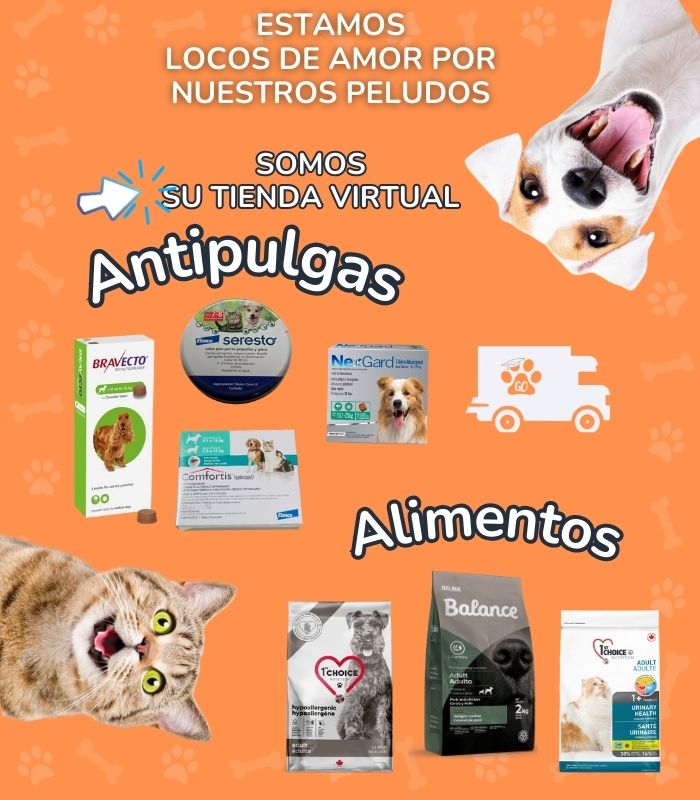 tienda-online-mascotas-costa-rica