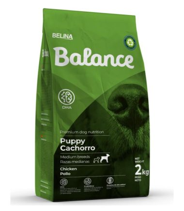 balance-puppy-medium-breed-costa-rica