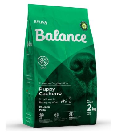 balance-puppy-small-breed-costa-rica