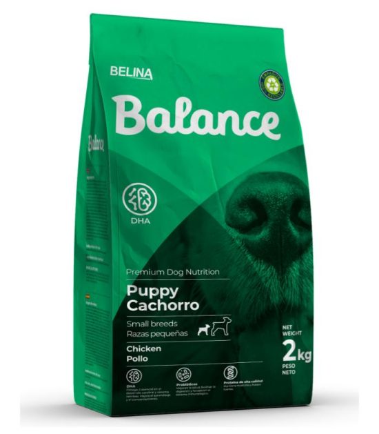 balance-puppy-small-breed-costa-rica