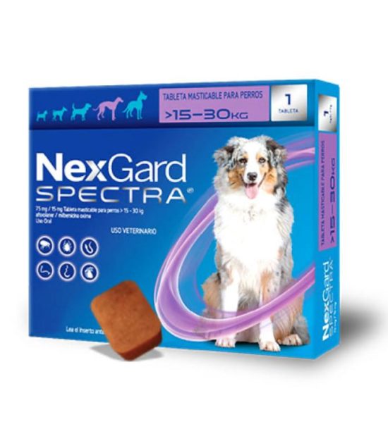 nexgard-spectra-15-30-kg-costa-rica