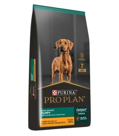 Proplan-cachorro-raza-grande-costa-rica