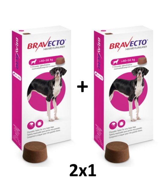 antipulgas-bravecto-2x1-costa-rica
