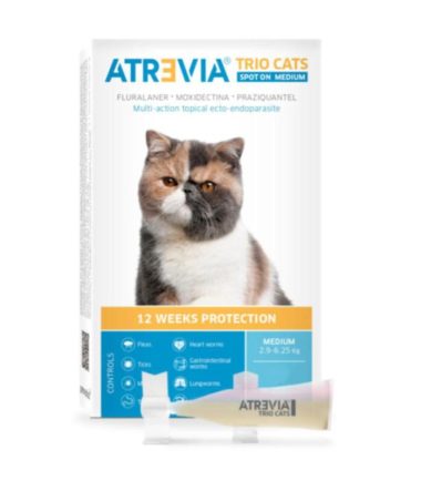 Antipulgas-atrevia-gato-costa-rica