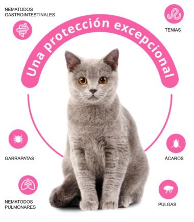 Antipulgas-atrevia-gato-costa-rica