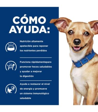 Hills-prescription-diet-i/d-dog-digestive-care-costa-rica