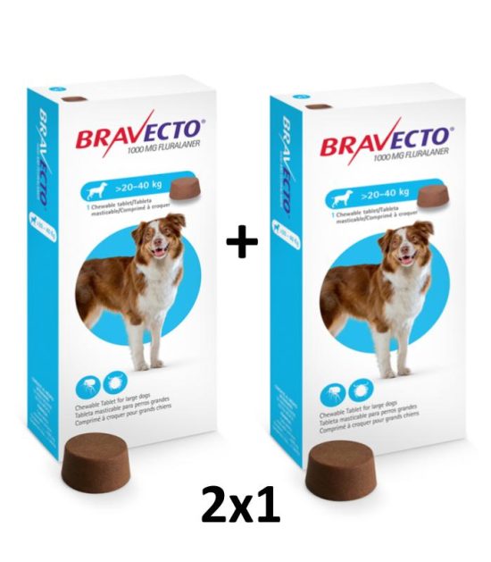 antipulgas-bravecto-2x1-costa-rica
