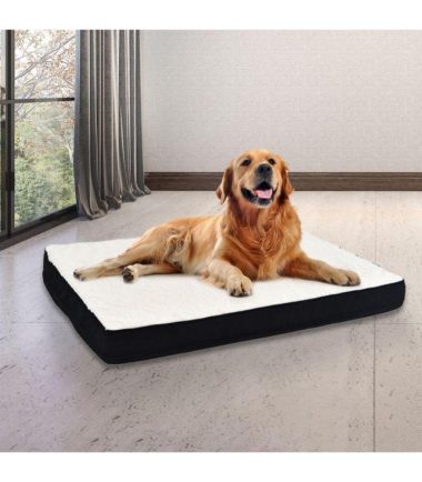 Cama-ortopédica-para-mascotas-costa-rica