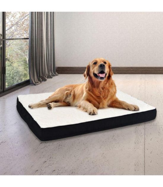 Cama-ortopédica-para-mascotas-costa-rica