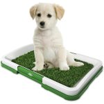 Bandeja-sanitaria-para-mascotas-costa-rica
