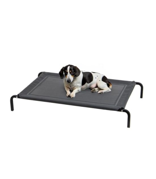 cama-elevada-para-mascotas-costa-rica