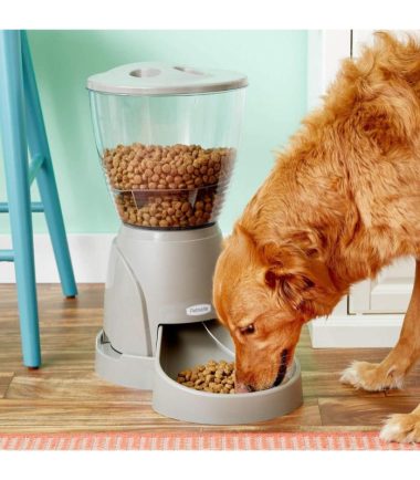 Dispensador-de-alimento-para-mascotas-costa-rica
