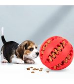 bola-hulé-para-mascotas-costa-rica