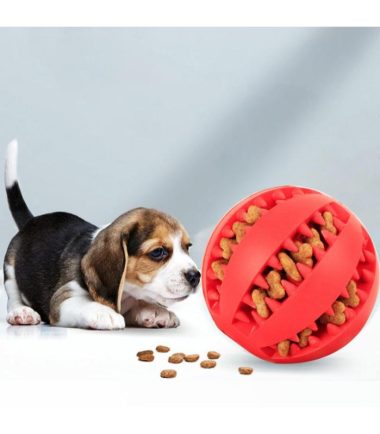 bola-hulé-para-mascotas-costa-rica
