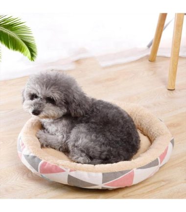 cama-para-mascotas-costa-rica