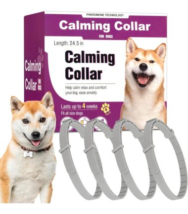 Collar-calmante-para-perros-costa-rica
