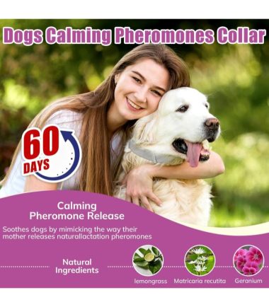 Collar-calmante-para-perros-costa-rica