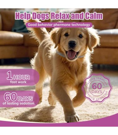 Collar-calmante-para-perros-costa-rica