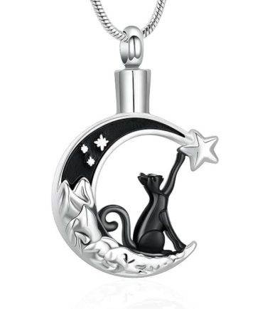 collar-conmemorativo-mascotas-costa-rica