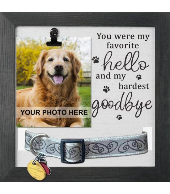 marco-conmemorativo-mascotas-costa-rica