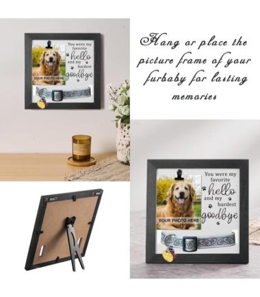 marco-conmemorativo-mascotas-costa-rica