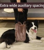 soporte-auxiliar-de-ayuda-para-perros-costa-rica