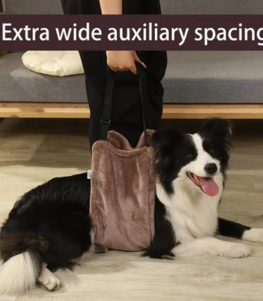 Arnés de soporte auxiliar para perros-Talla M