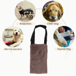 soporte-auxiliar-de-ayuda-para-perros-costa-rica